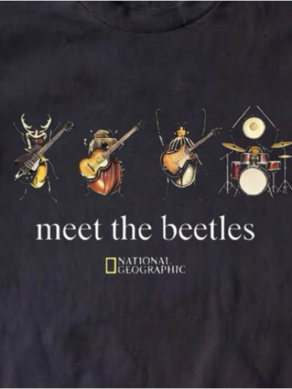 Gildan Black 'Meet the Beetles' Graphic Tee - Picture 2 of 2